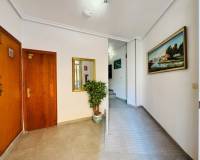 Segunda mano - Apartamento - La Mata