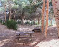 Segunda mano - Apartamento - Orihuela Costa